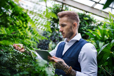 Junger Mann mit Tablet im botanischen Garten stehend, arbeitend, grünes Geschäftskonzept. - HPIF17881