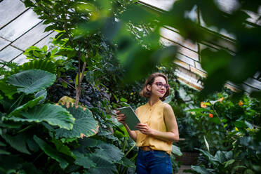 Young woman with tablet standing in greenhouse in botanical garden. Copy space. - HPIF17913