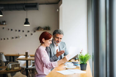 A man and woman having business meeting in a cafe, using laptop. - HPIF17982