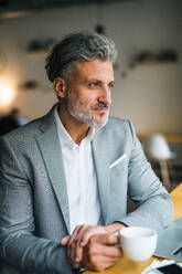 Mature man with coffee and laptop at the table in a cafe, looking out of window. - HPIF17992