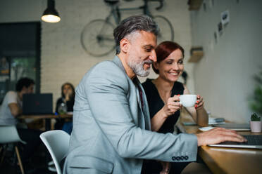 A man and woman having business meeting in a cafe, using laptop. - HPIF18024