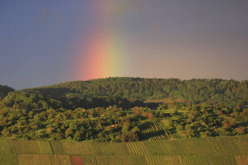 Germany, Baden-Wurttemberg, Stuttgart, Hillside fields at dusk with rainbow in background - JTF02333