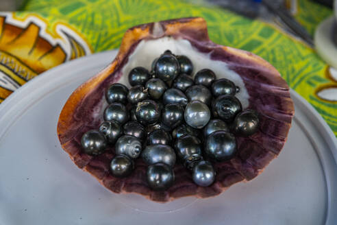 Black pearls on Pearl farm, Rikitea village, Mangareva, Gambier archipelago, French Polynesia, South Pacific, Pacific - RHPLF24122