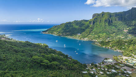 Luftaufnahme von Cook's Bay, Moorea (Mo'orea), Gesellschaftsinseln, Französisch-Polynesien, Südpazifik, Pazifik - RHPLF24133