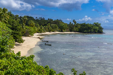 Weißer Sandstrand, Taveuni, Fidschi, Südpazifik, Pazifik - RHPLF24145