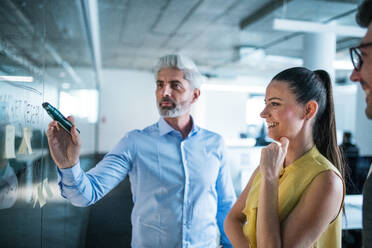 A side view of group of business people standing in an office, brainstorming. - HPIF18060