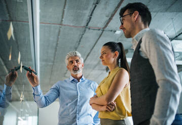 A side view of group of business people standing in an office, brainstorming. - HPIF18062