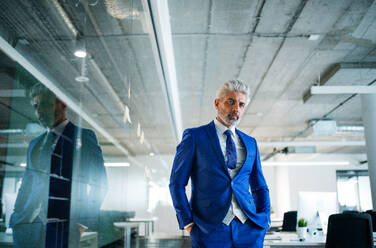 A portrait of mature businessman standing in an office, looking at camera. Copy space. - HPIF18114
