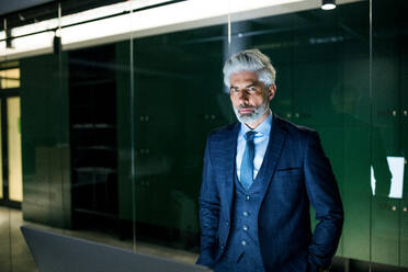 A portrait of mature businessman standing in an office, looking at camera. Copy space. - HPIF18129