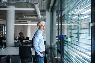 A portrait of mature businessman standing in an office, looking out of window. - HPIF18283