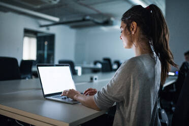 Rückansicht einer jungen Geschäftsfrau mit Computer, die in einem Büro sitzt und arbeitet. - HPIF18293
