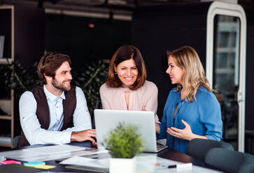 A group of cheerful business people sitting in an office, using laptop. - HPIF18443