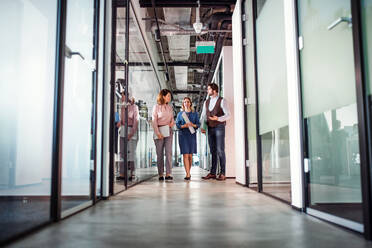 A group of business people walking in corridor office building, talking. - HPIF18454