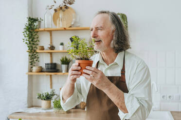 Nachdenklicher Mann riecht an einer Oregano-Pflanze in der Küche zu Hause - YTF00843