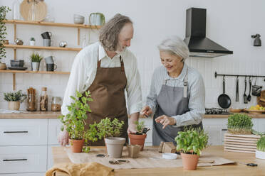 Lächelnde Frau, die einem Mann beim Pflanzen von Kräutern hilft, in der Küche stehend - YTF00848