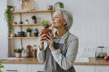 Reife Frau riecht an einer Rosmarinpflanze in der Küche zu Hause - YTF00850