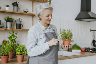 Lächelnde Frau schneidet Thymianpflanze in der Küche zu Hause - YTF00851