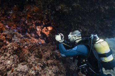 Junger Mann fotografiert Unterwasserkorallen - RSGF00880