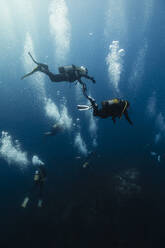 Men and women scuba diving in sea - RSGF00883