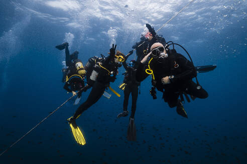 Freunde zusammen beim Tauchen in der Unterwasserwelt - RSGF00885