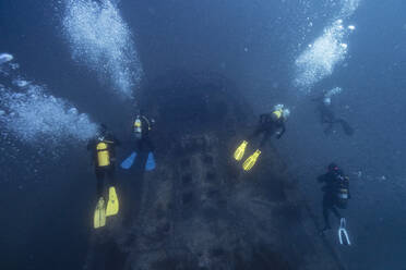 Freunde tauchen und untersuchen das gesunkene Schiff El Naranjito unter Wasser - RSGF00888