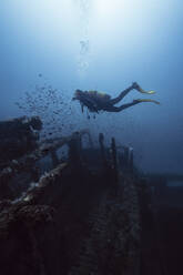 Young woman scuba diving and examining sunken ship El Naranjito undersea - RSGF00890