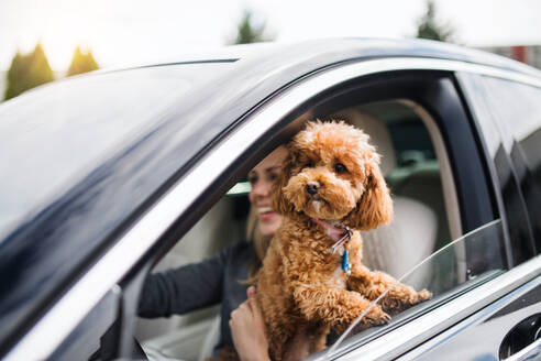 Eine junge Fahrerin mit einem Hund, der im Auto sitzt und fährt. - HPIF18560