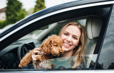 Eine junge Fahrerin mit einem Hund sitzt im Auto und schaut aus dem Fenster. - HPIF18561