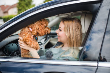 Eine junge Fahrerin mit einem Hund sitzt im Auto und unterhält sich. - HPIF18562