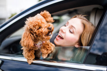 Eine junge Fahrerin mit einem Hund sitzt im Auto und schaut aus dem Fenster. - HPIF18563