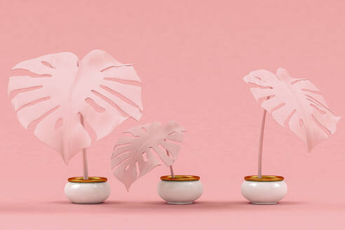 3D-Rendering von rosa getöpferten Monstera-Pflanzen, die vor einem rosa Hintergrund stehen - GCAF00333