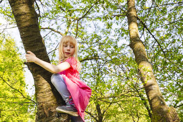 Blondes Mädchen klettert auf einen Baum im Park - IHF01368