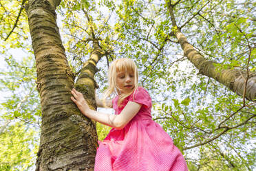 Mädchen klettert auf einen Baum im Park - IHF01373