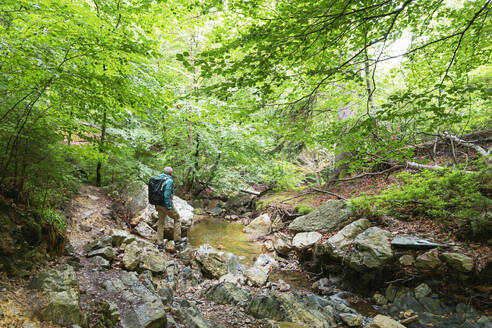 Aktiver älterer Mann auf einem Felsen im Wald stehend - GWF07817