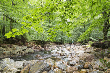 Älterer Mann im Wald stehend - GWF07820