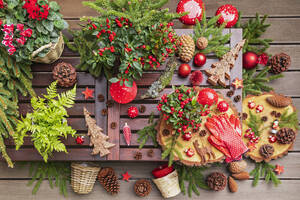 Winterpflanzen, Tannenzapfen, Weihnachtsschmuck, Holzuntersetzer und Gartenhandschuhe auf dem Tisch - GWF07823