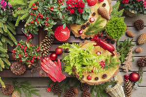 Winterpflanzen, Tannenzapfen, Weihnachtsdekoration, Holzuntersetzer, Gartenhandschuhe und eine Hirschfigur auf dem Tisch - GWF07824