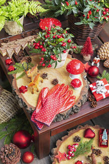 Winterpflanzen, Tannenzapfen, Weihnachtsdekoration, Holzuntersetzer, Gartenhandschuhe und eine Hirschfigur auf dem Tisch - GWF07826