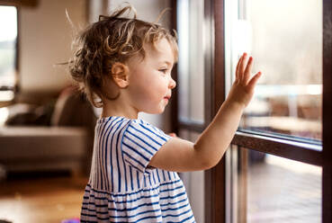 A happy toddler girl standing by window indoors at home, looking out. - HPIF18941