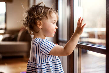 Ein glückliches kleines Mädchen, das zu Hause am Fenster steht und hinausschaut. - HPIF18941