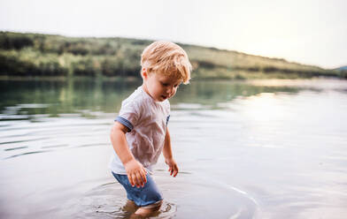 A wet, happy small toddler boy walking outdoors in a river in summer, playing. - HPIF19238
