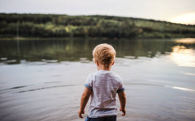 A rear view of small toddler boy walking outdoors in a river in summer. - HPIF19263