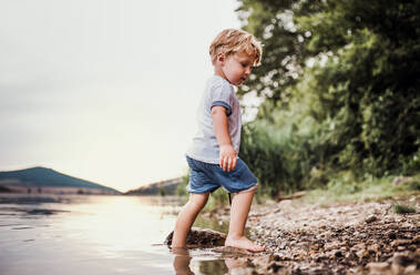 A wet, small toddler boy standing barefoot outdoors in a river in summer, playing. - HPIF19265