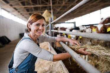 Eine Frau arbeitet mit Heu auf einem Milchviehbetrieb, Agrarindustrie. - HPIF19304