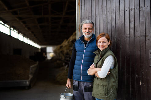 Ein Mann und eine Frau arbeiten auf einem Milchviehbetrieb, Agrarindustrie. - HPIF19318
