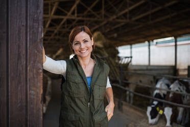 Eine Frau steht auf einem Milchviehbetrieb und schaut in die Kamera, Landwirtschaft. - HPIF19323