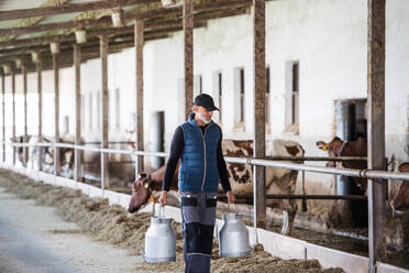 Ein reifer Mann mit Dosen bei der Arbeit auf einem Milchviehbetrieb, in der Landwirtschaft. - HPIF19326