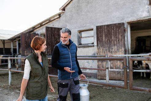 Ein Mann und eine Frau arbeiten in einem Milchviehbetrieb, Landwirtschaft. - HPIF19329