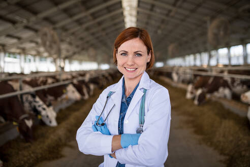 Vorderansicht einer Tierärztin, die auf einem Milchviehbetrieb steht, Agrarindustrie. - HPIF19354