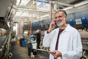 Mature man manager with smartphone working on diary farm, agriculture industry. - HPIF19387